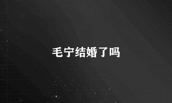 毛宁结婚了吗
