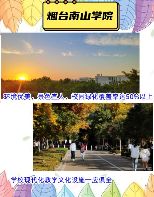 烟台南山职业技术学院在哪个位置？