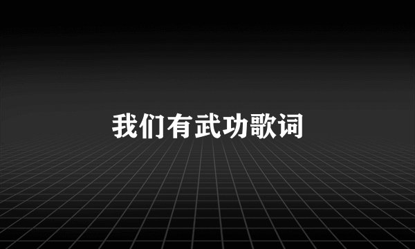 我们有武功歌词
