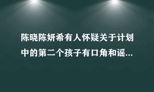 陈晓陈妍希有人怀疑关于计划中的第二个孩子有口角和谣言网友先生，出来