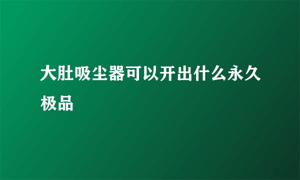大肚吸尘器可以开出什么永久极品