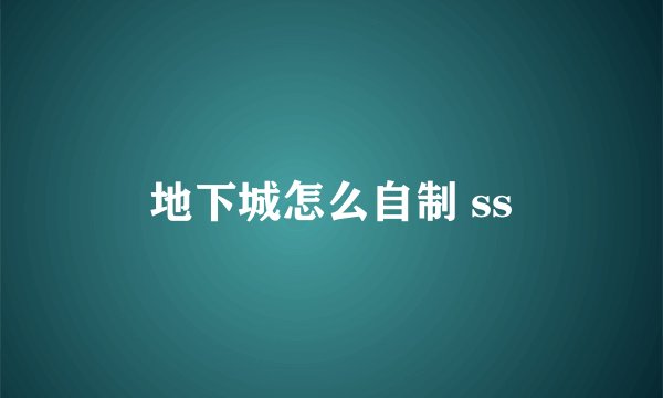 地下城怎么自制 ss