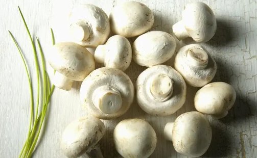 口蘑中的口字起源于哪里