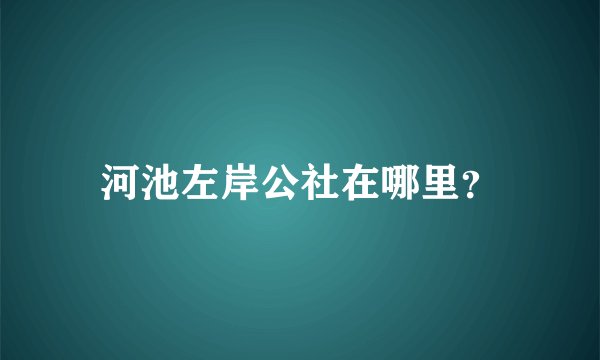河池左岸公社在哪里？