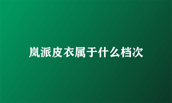 岚派皮衣属于什么档次