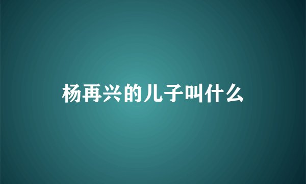 杨再兴的儿子叫什么