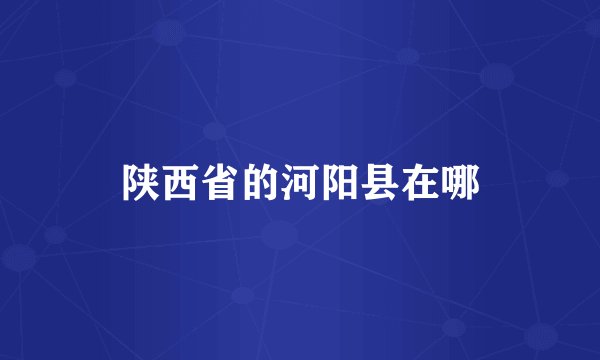 陕西省的河阳县在哪