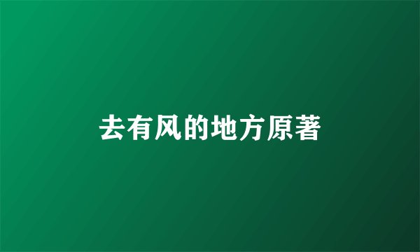 去有风的地方原著