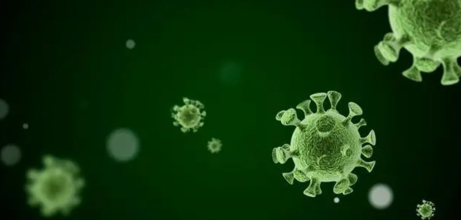 丈夫新冠妻子为什么没有感染