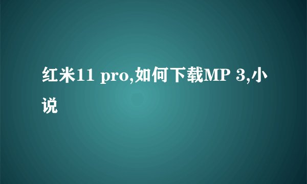 红米11 pro,如何下载MP 3,小说