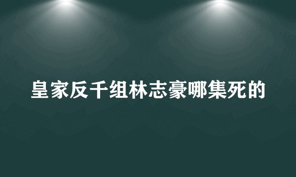 皇家反千组林志豪哪集死的