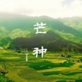 二十四节气分别是什么？
