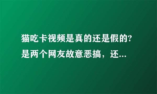 猫吃卡视频是真的还是假的? 是两个网友故意恶搞，还是那个真的是1860话务员？