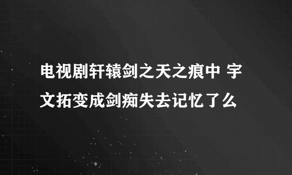 电视剧轩辕剑之天之痕中 宇文拓变成剑痴失去记忆了么