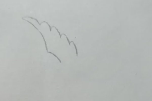 和平鸽怎么画简笔画