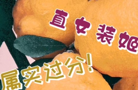 网络用语直女装姬是什么梗-直女装姬梗意思及出处分享