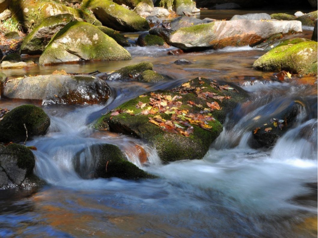 溪水潺潺什么意思
