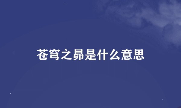 苍穹之昴是什么意思
