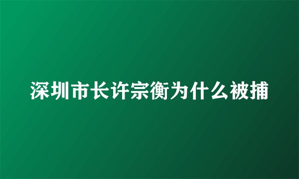深圳市长许宗衡为什么被捕