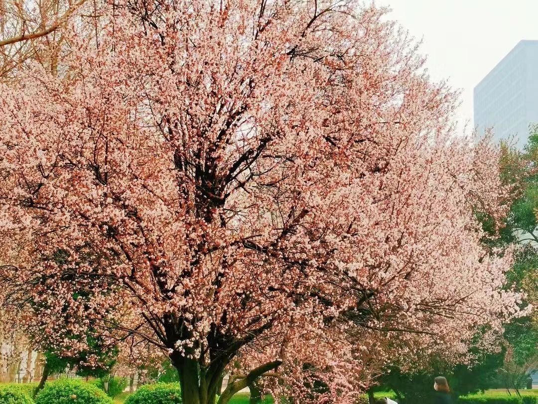 河北师范大学汇华学院怎么样