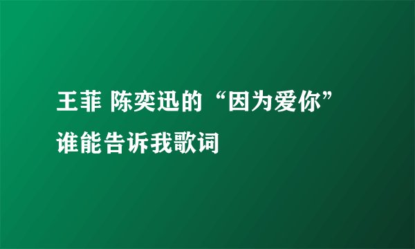 王菲 陈奕迅的“因为爱你”谁能告诉我歌词