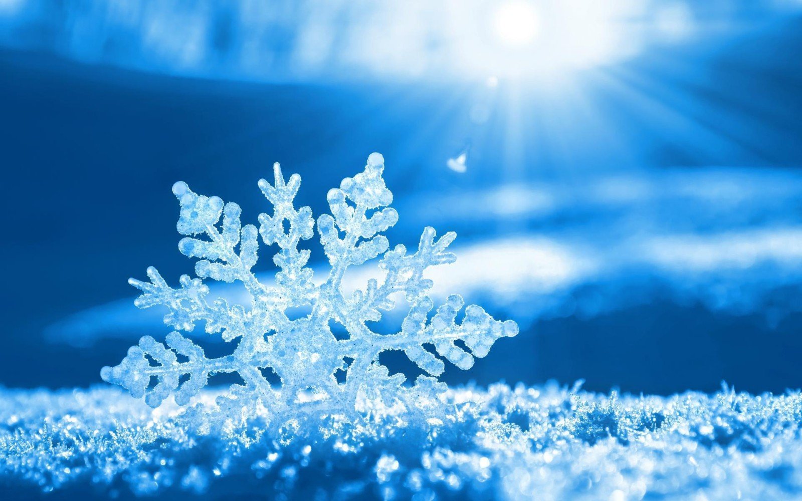 下雪天雪花像什么
