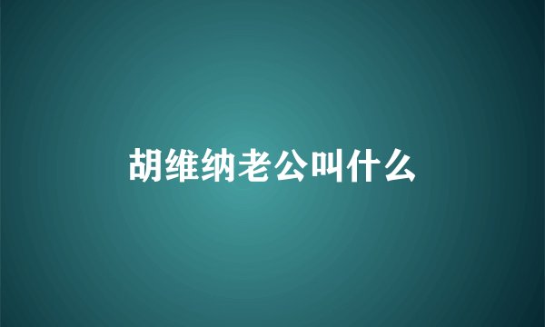 胡维纳老公叫什么