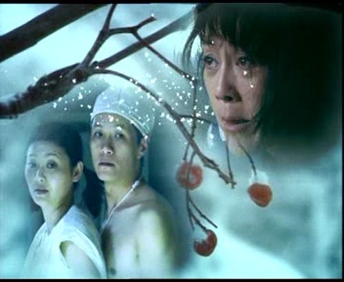 错爱3的基本资料