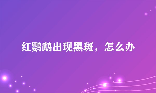 红鹦鹉出现黑斑，怎么办