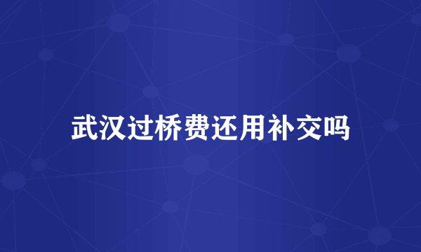 武汉过桥费还用补交吗