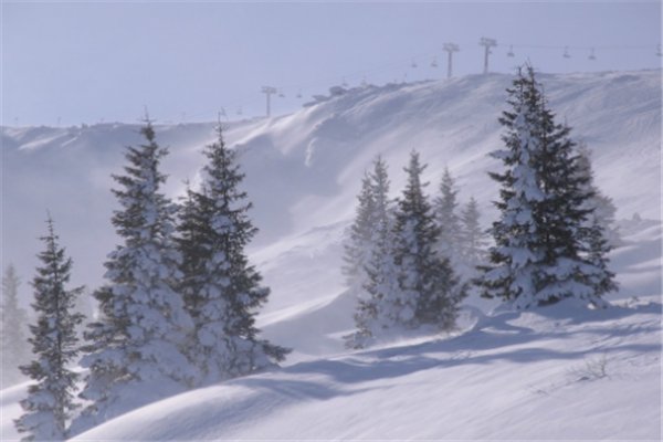 内蒙古多地发生特大暴雪，专家称有可能引发雪灾，市民该做好哪些预防措施？