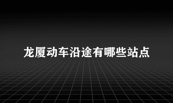 龙厦动车沿途有哪些站点