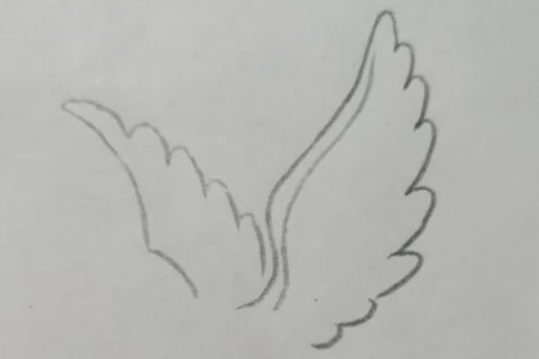 和平鸽怎么画简笔画