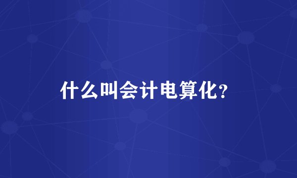什么叫会计电算化？