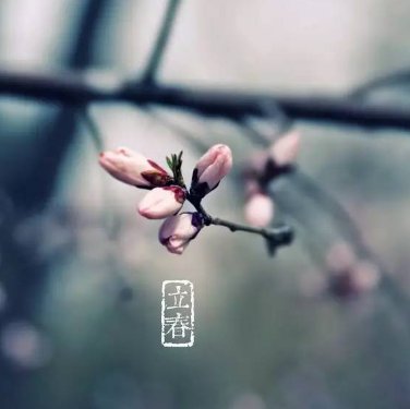 几点立春2020年2月4日几点立春