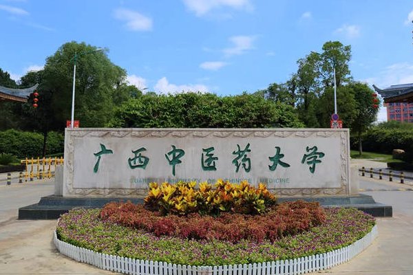 广西中医药大学是公办还是民办