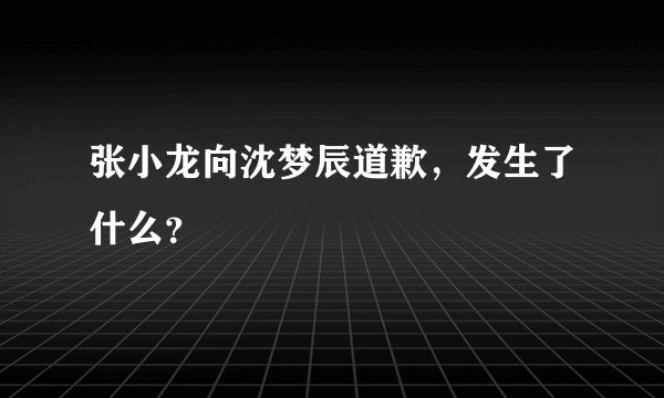 张小龙向沈梦辰道歉，发生了什么？