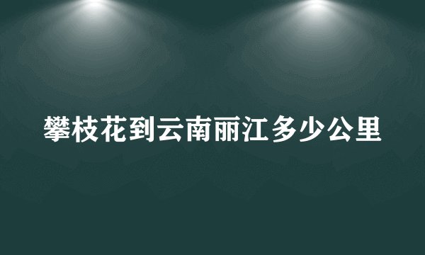 攀枝花到云南丽江多少公里