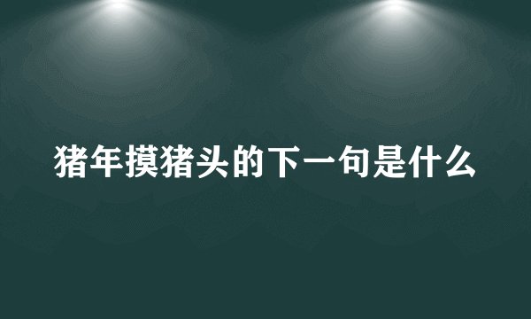 猪年摸猪头的下一句是什么