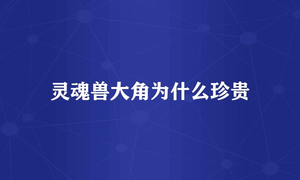 灵魂兽大角为什么珍贵