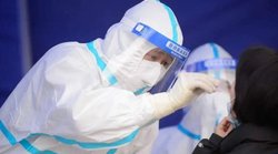 由于工作不力，致贵阳超百万份样本送检滞后，哪些相关人员被处罚？