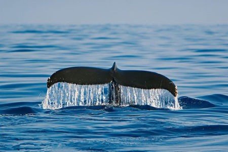 200k的照片是多大啊？