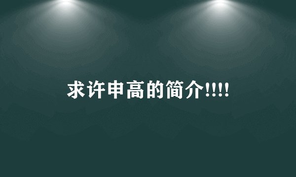 求许申高的简介!!!!