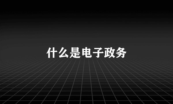 什么是电子政务
