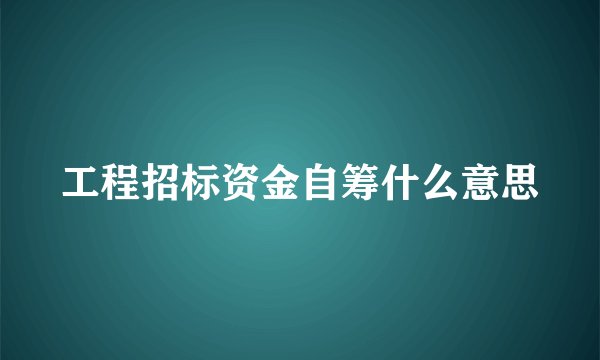工程招标资金自筹什么意思