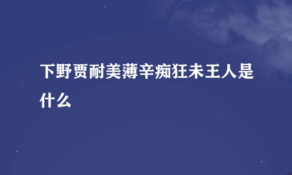 下野贾耐美薄辛痴狂未王人是什么