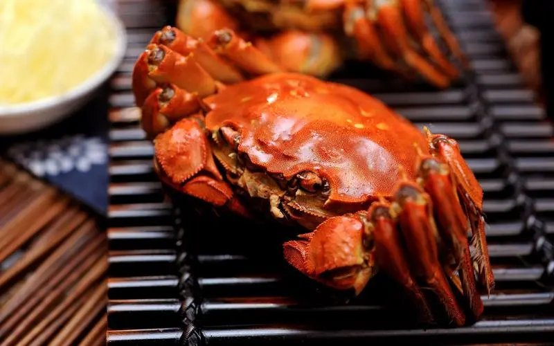 阳澄湖大闸蟹或将缺席中秋餐桌，为什么大闸蟹的出产会延迟？