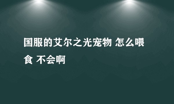 国服的艾尔之光宠物 怎么喂食 不会啊