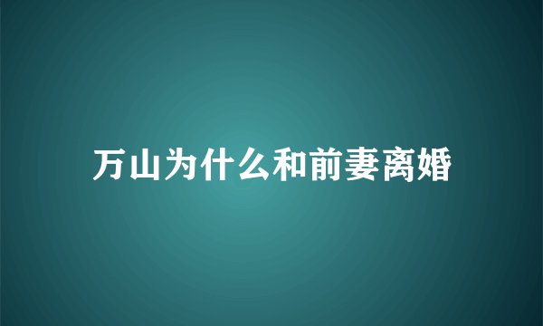 万山为什么和前妻离婚