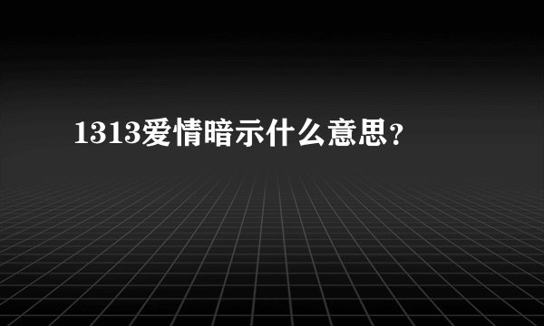 1313爱情暗示什么意思？